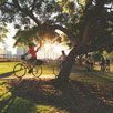 Brisbane Bike Tours